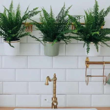 Apartmán Lechner4 Segedín